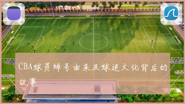 CBA球员绰号由来及球迷文化背后的故事