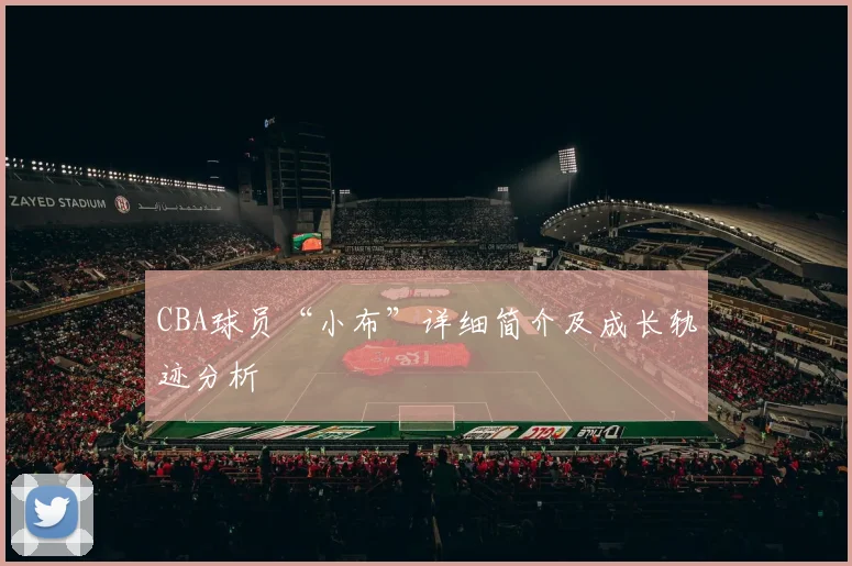 CBA球员“小布”详细简介及成长轨迹分析