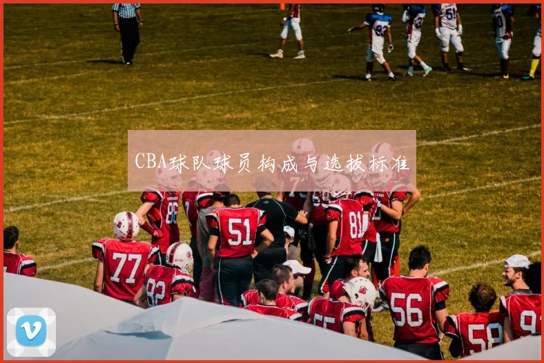 CBA球队球员构成与选拔标准