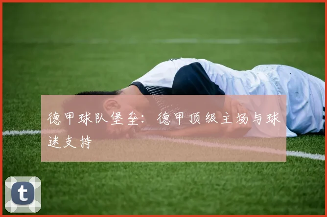 德甲球队堡垒：德甲顶级主场与球迷支持